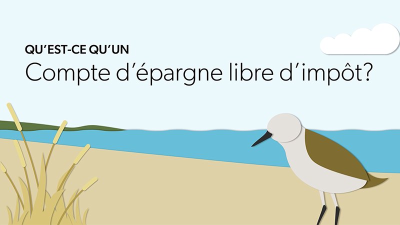 Qu’est‑ce qu’un compte d’épargne libre d’impôt?